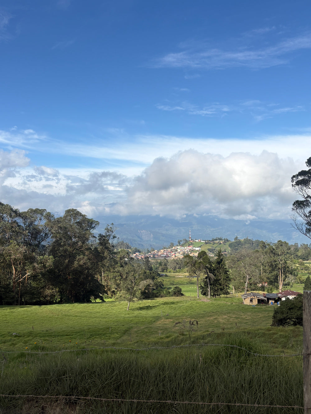 Bogotá – Muzo, la route qui mène aux émeraudes - Johya