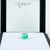 Émeraude Colombie - 1,335 ct - Johya