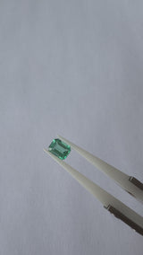 Émeraude Colombie - 0,95 ct